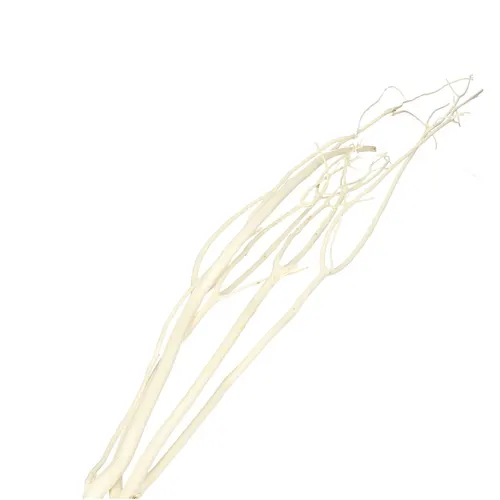 Sušený materiál Mitsumata biela 115 cm