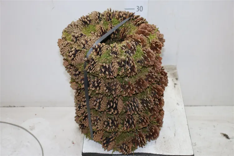 Wreath Pine Cone Moss 30 cm