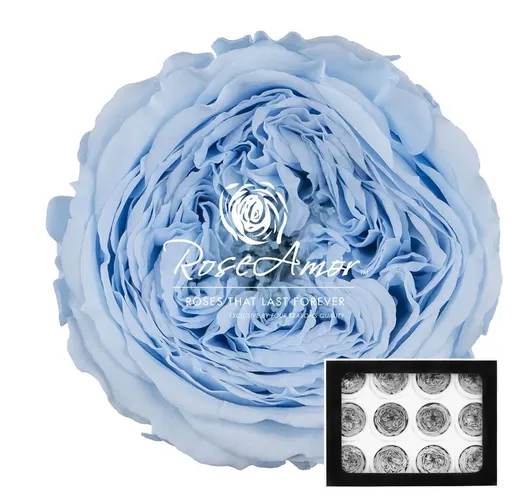 Stabilizovaná ruža Amelia ⌀ 4 cm, modrá BLU89