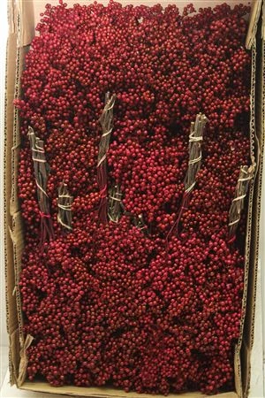 Pepperberries Red Paint, sušené