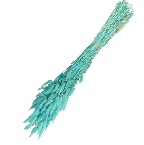 Sušený kvet Lagurus modrá 65 cm