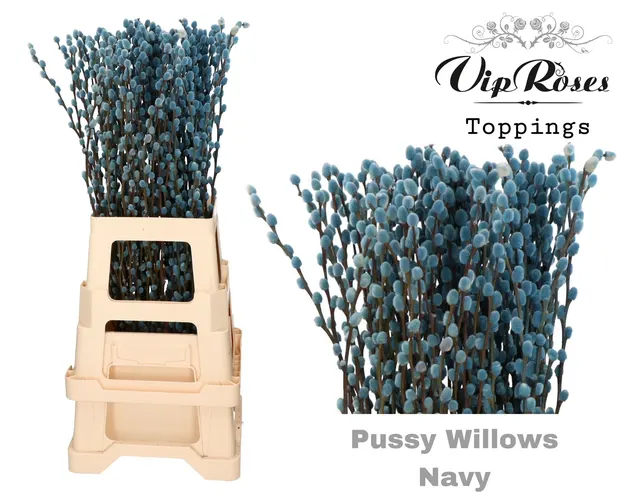 Salix Pussy Willow Navy 70 cm
