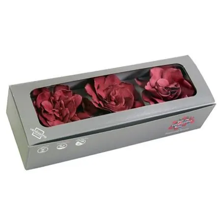 Stabilizovaná gardénia, brusnicová, balenie 3 ks