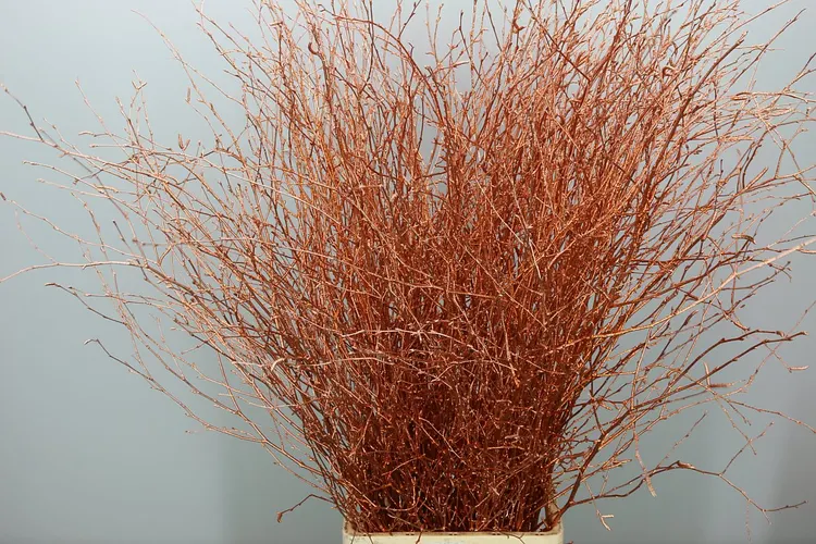 Berk Copper Glitter 120 cm