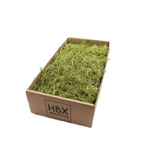 Mach Tillandsia zelený 350 g