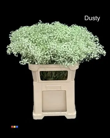 Gyps Xlence Dusty Mint 80 cm
