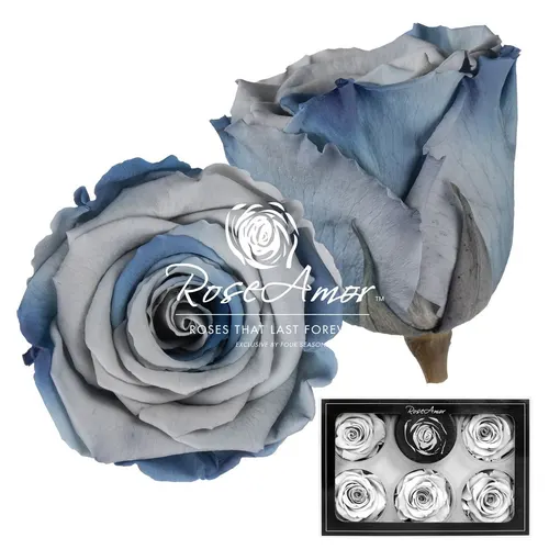 Stabilizovaná ruža XL ⌀ 6 cm, modrá BLU05