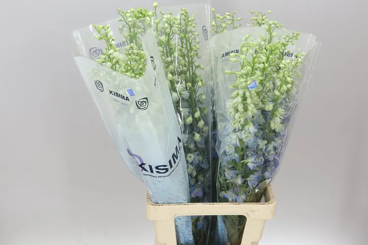 Delph El Fountain Sky Blue 80 cm