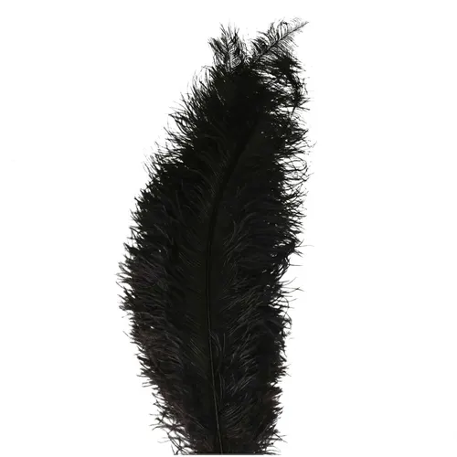 Perie Ostrich čierna 55 cm