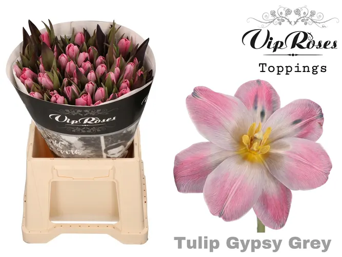 Tu En Gypsy Grey 40 cm