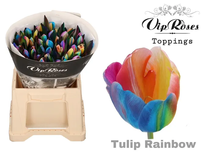 Tu En A Rainbow 38 cm