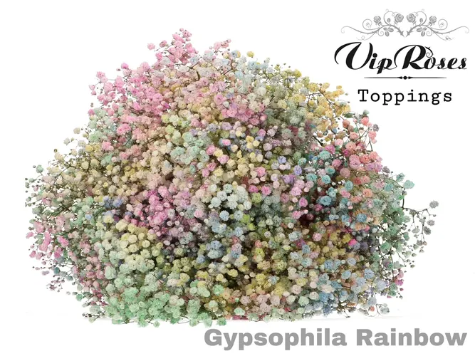 Gyps Pa Rainbow Pastel 80 cm