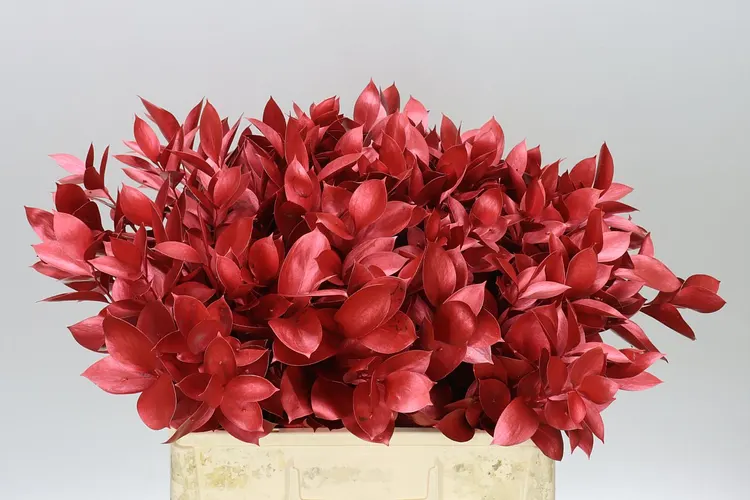 Ruskus farbený Metallic Red 60 cm