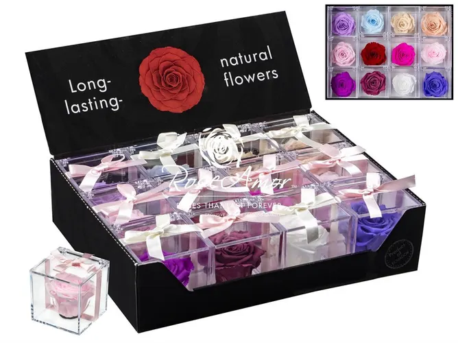 Pres. Display Gb14 Assorted Pastel