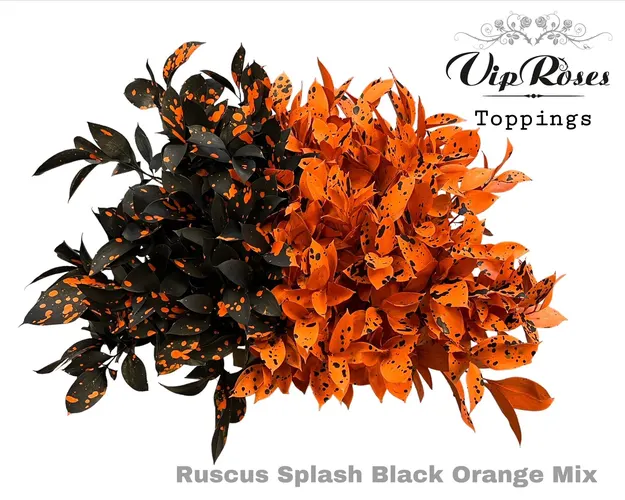 Ruskus Splash Black Orange mix 60 cm