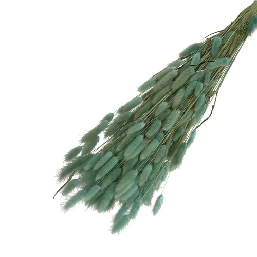 Sušený zajačí chvost modrý 65 cm, 100 g