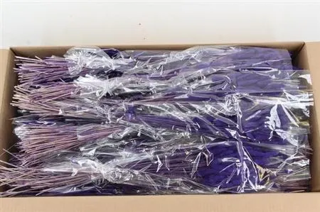 Dried Lagurus Purple 70 cm