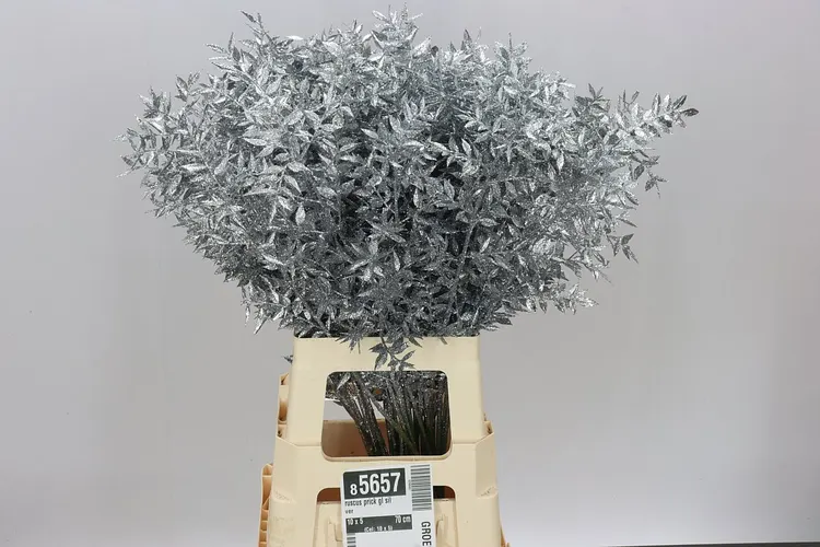 Ruskus Prick Gl Silver 70 cm
