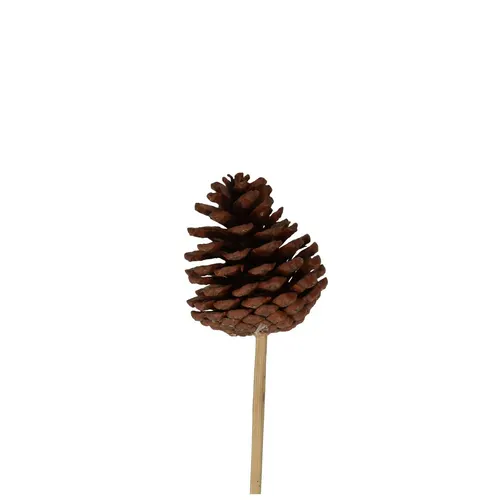 Šiška strieborná na zápichu 50 cm