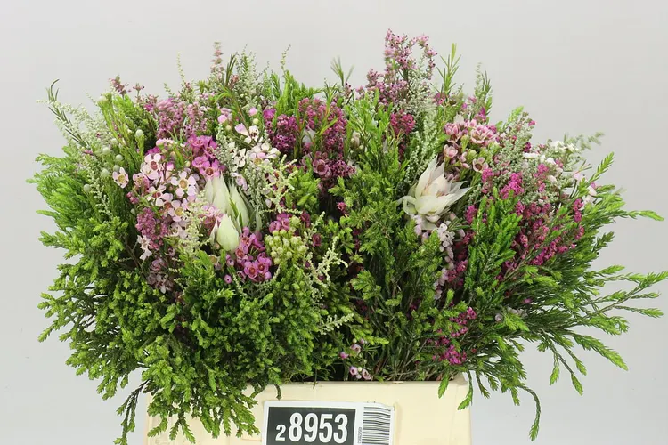 Bq Floral Fantasy 40 cm