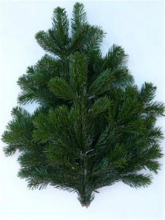Nordman Handbos 40 cm