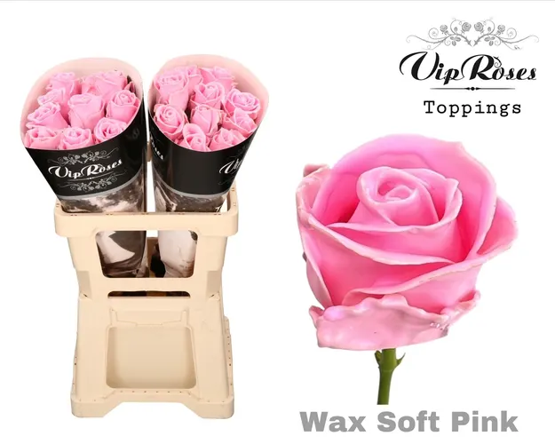 Ruža Wax Soft Pink (60cm) 60 cm