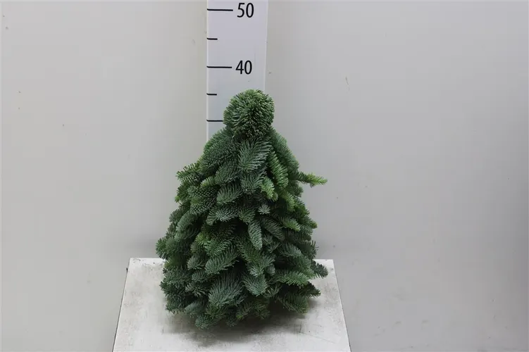 Vianočný stromček z čečiny, ručne viazaný 40 cm