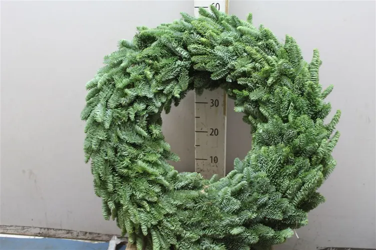Wreath Round 80cm 80 cm