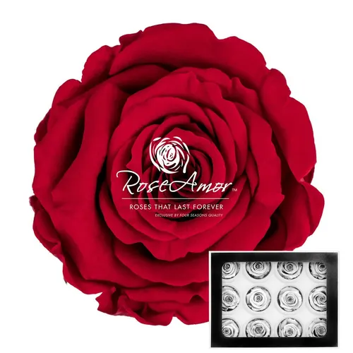 Stabilizovaná ruža S ⌀ 4 cm, červená RED02