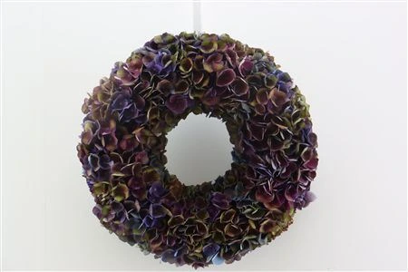 Wr Hydrangea Charlotte 35cm 35 cm