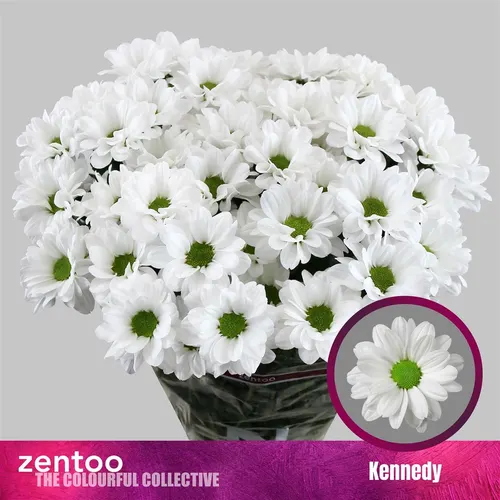 Chr T Kennedy 70 cm