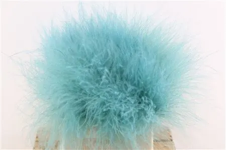 Stypha Blue 60 cm
