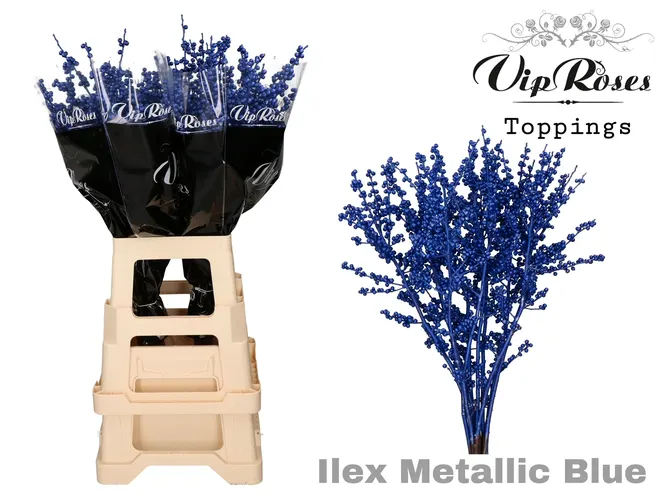 Ilex Metallic Blue 70 Cm 70 cm