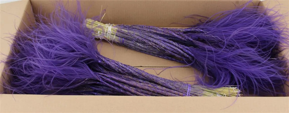 Stypha Purple 60 cm