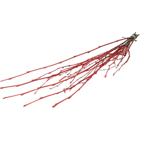 Sušený materiál breza vetva červená 70 cm