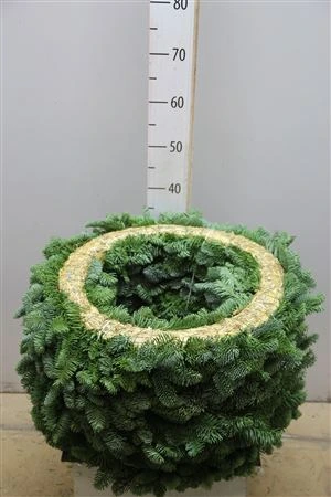 Wreath Half 50 Cm 50 cm