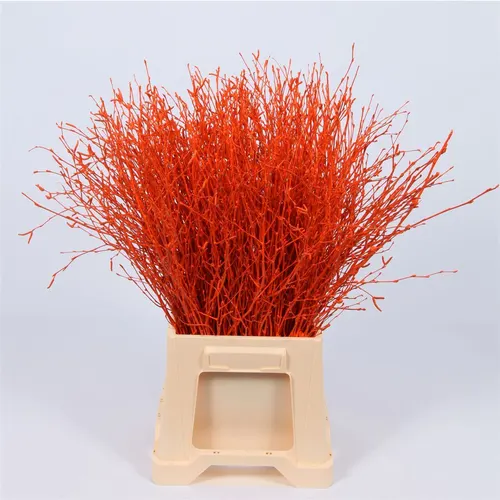 Berk Orange 120 cm