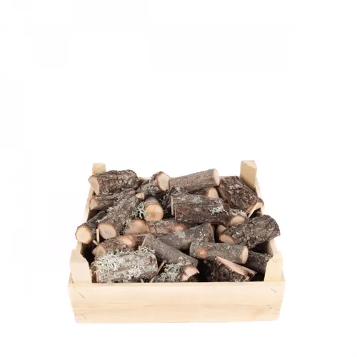 Sušený materiál Oak 8- hnedá 10 cm