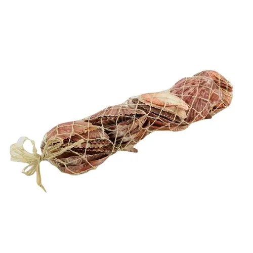 Mušľa Pecten Nobillis červená 600 g
