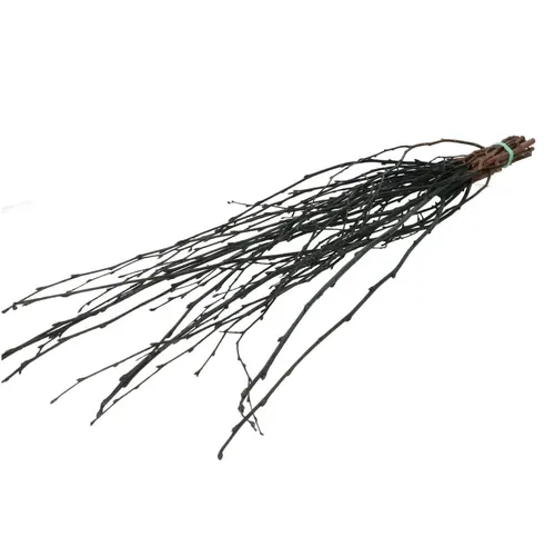 Sušený materiál breza vetva čierna 70 cm