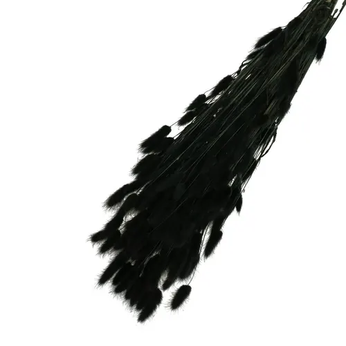 Sušený zajačí chvost čierny 65 cm, 100 g