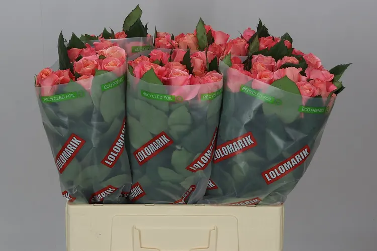 Ruže klasické (Roses Big)