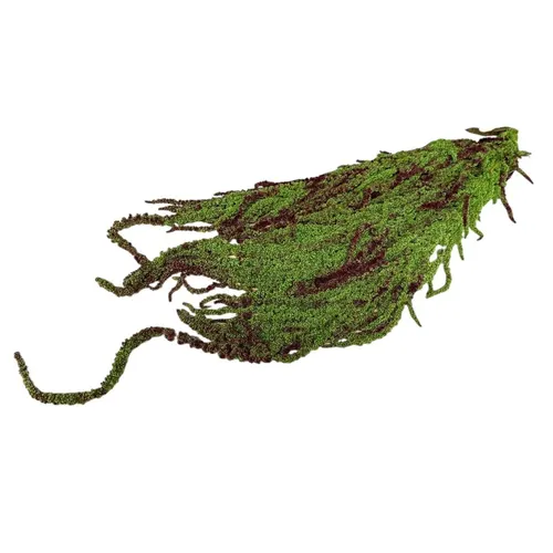 Sušený láskavec previsnutý červený 70 cm