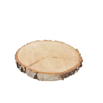 Sušený materiál Woodslice breza hnedá ⌀ 14 cm