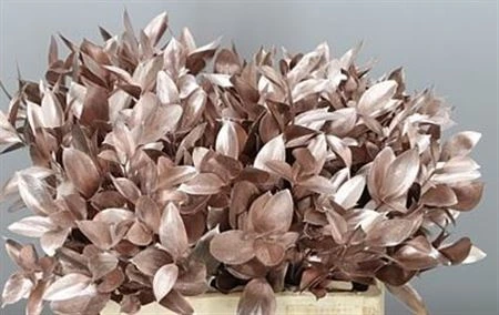 Ruskus farbený Champagne + Glitter 60 cm