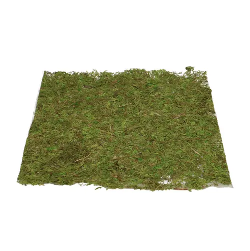Sušený materiál mach hárok vk zelená ⌀ 28 cm
