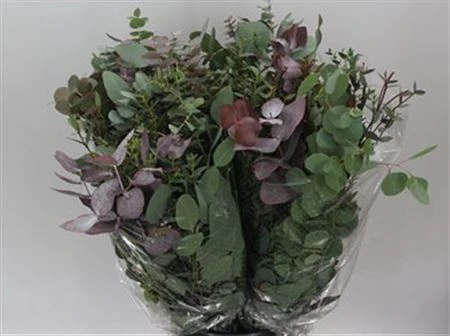 Eukalyptus mix 70 cm