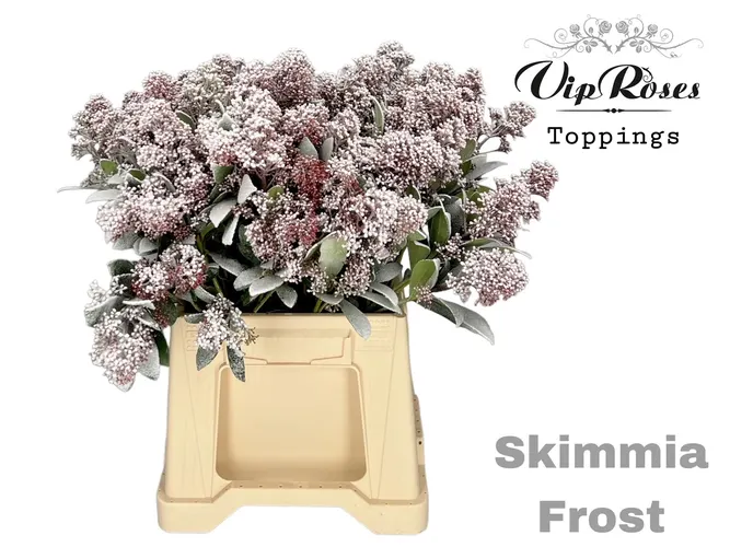 Kvitnúce kríky (špeciál)