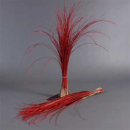 Beregras Red 60 cm