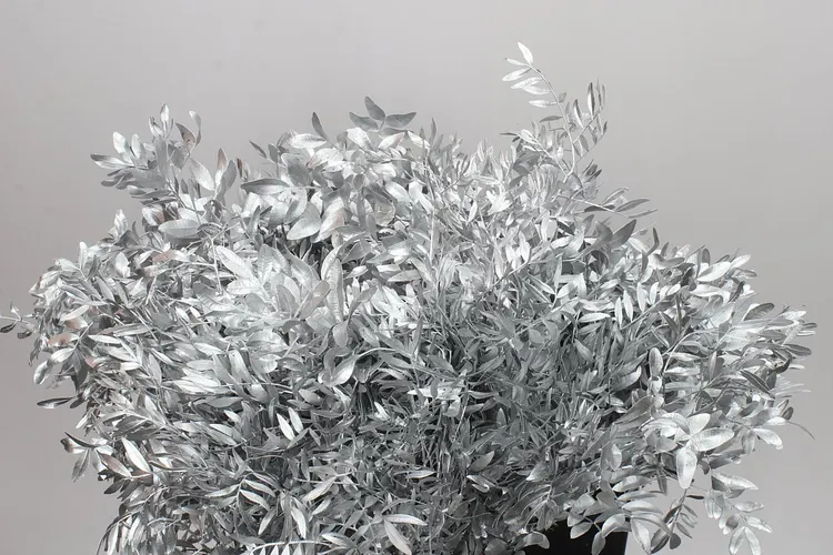 Pistache Short Silver 50 cm